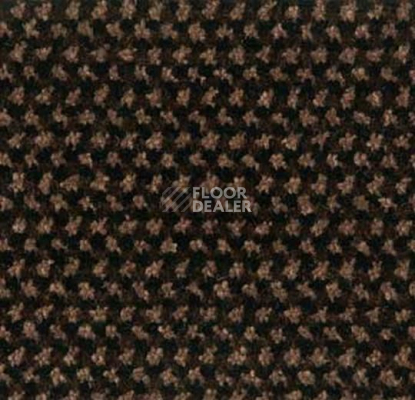 Грязезащитные покрытия Forbo Coral T32 320037200 Brown фото 1 | FLOORDEALER